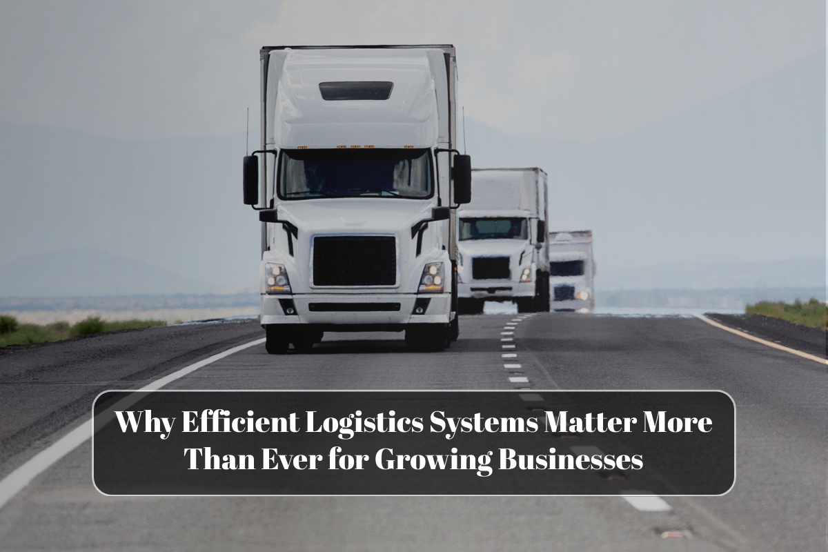 Why Efficient Logistics Systems Matter More Than Ever for Growing Businesses